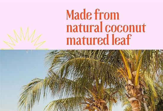 చిక్కటి  పుల్లల చీపురు(1) యొక్క చిత్రం